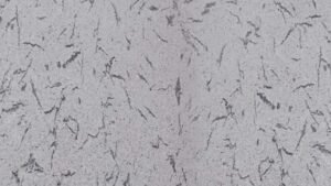 french white granite